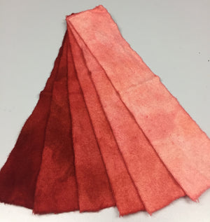 PC2, 6 Value Wool Fabric Swatch